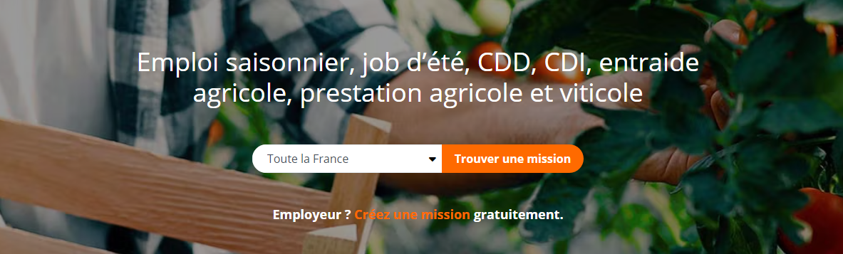Mission_Wizifarm_capture-ecran