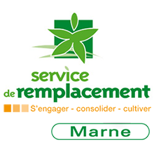 service-de-remplacement-marne_carre