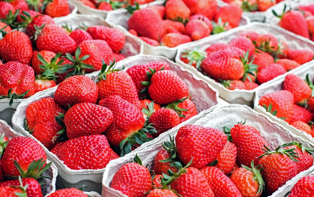 La FRSEA Grand-Est organise une visite du marché de Rungis, le 19 avril, pour les agricultrices adhérentes des FDSEA.